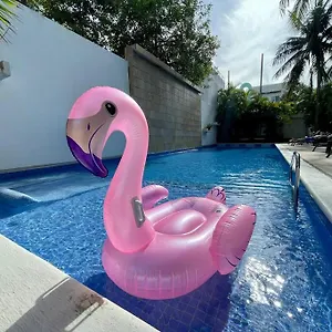 Oasis 12 Apartamento